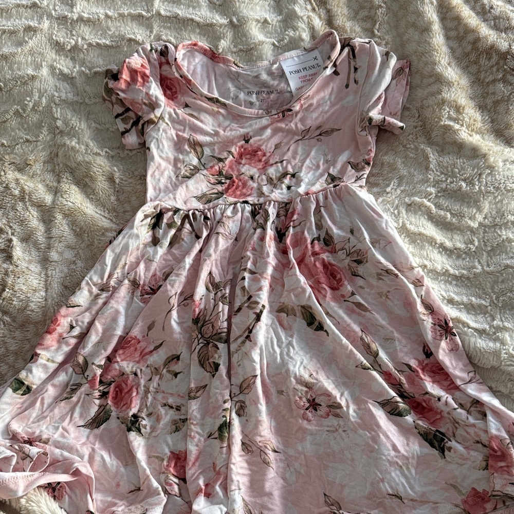 Posh Peanut Blush Floral Dress